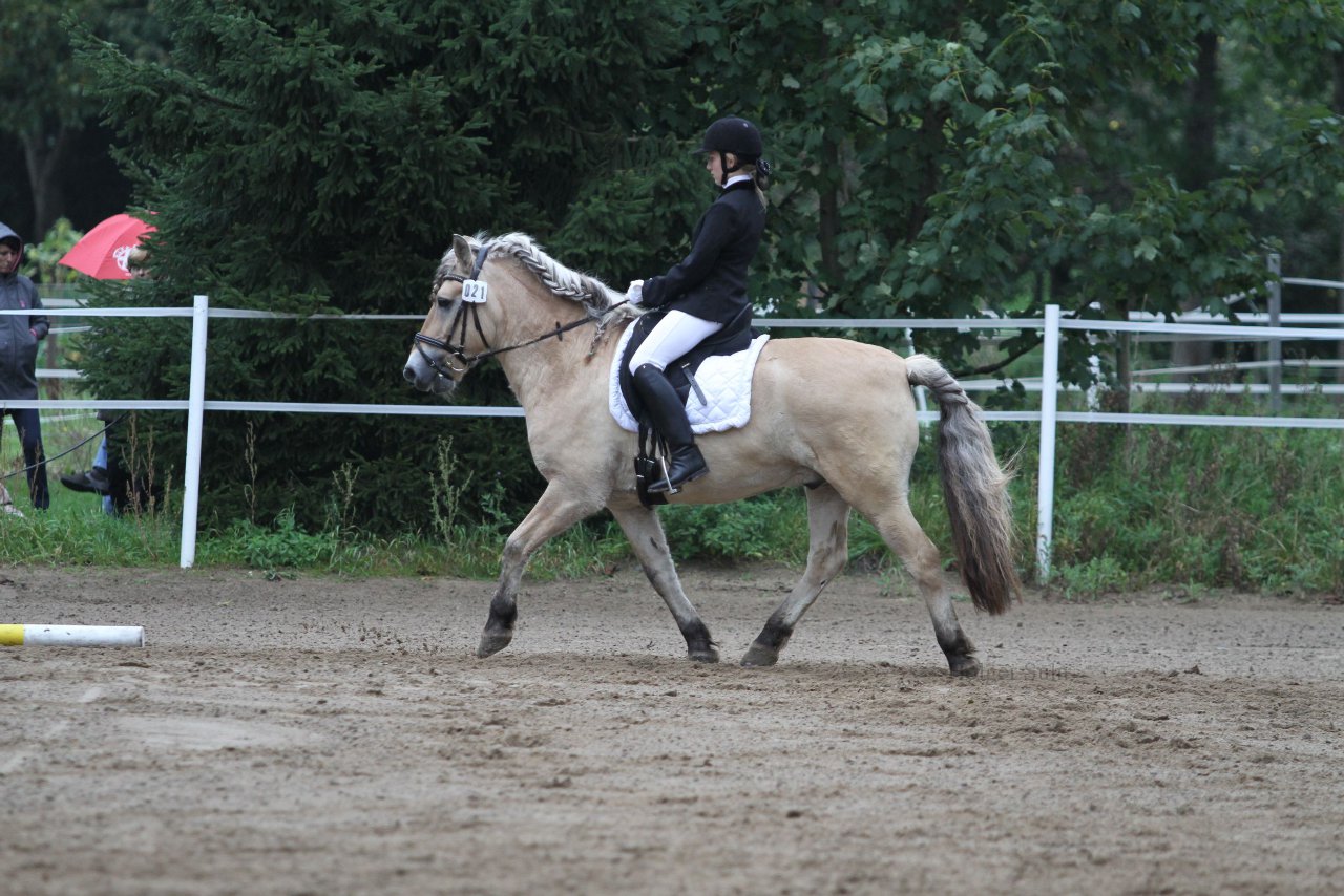 Bild 444 - WBO-Turnier am 18.9.11